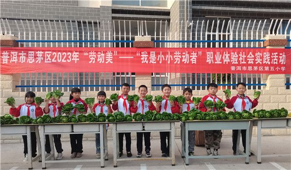 2023年3月2日，思茅五小組織30名學生開展“勞動美——我是小小勞動者”職業體驗社會實踐活動。.jpg